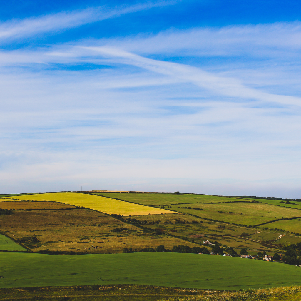 Rolling countryside fields under a wide blue sky, representing open land for solar panels and renewable energy projects